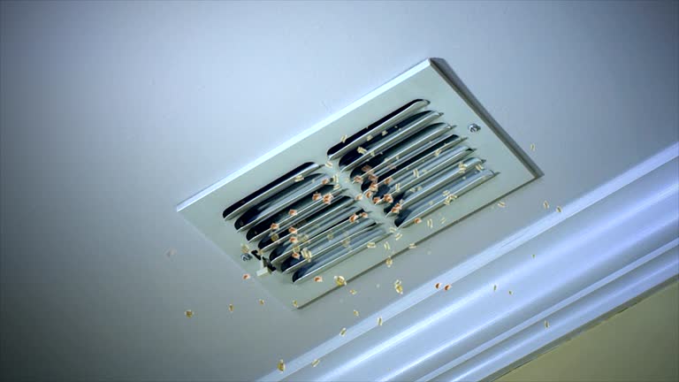 Best Air Duct Sanitizing Services  in Manchester, TN