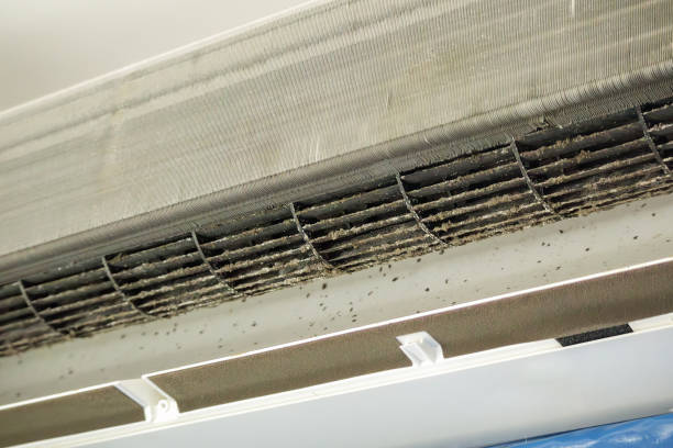 Best Commercial Air Duct Cleaning  in Manchester, TN